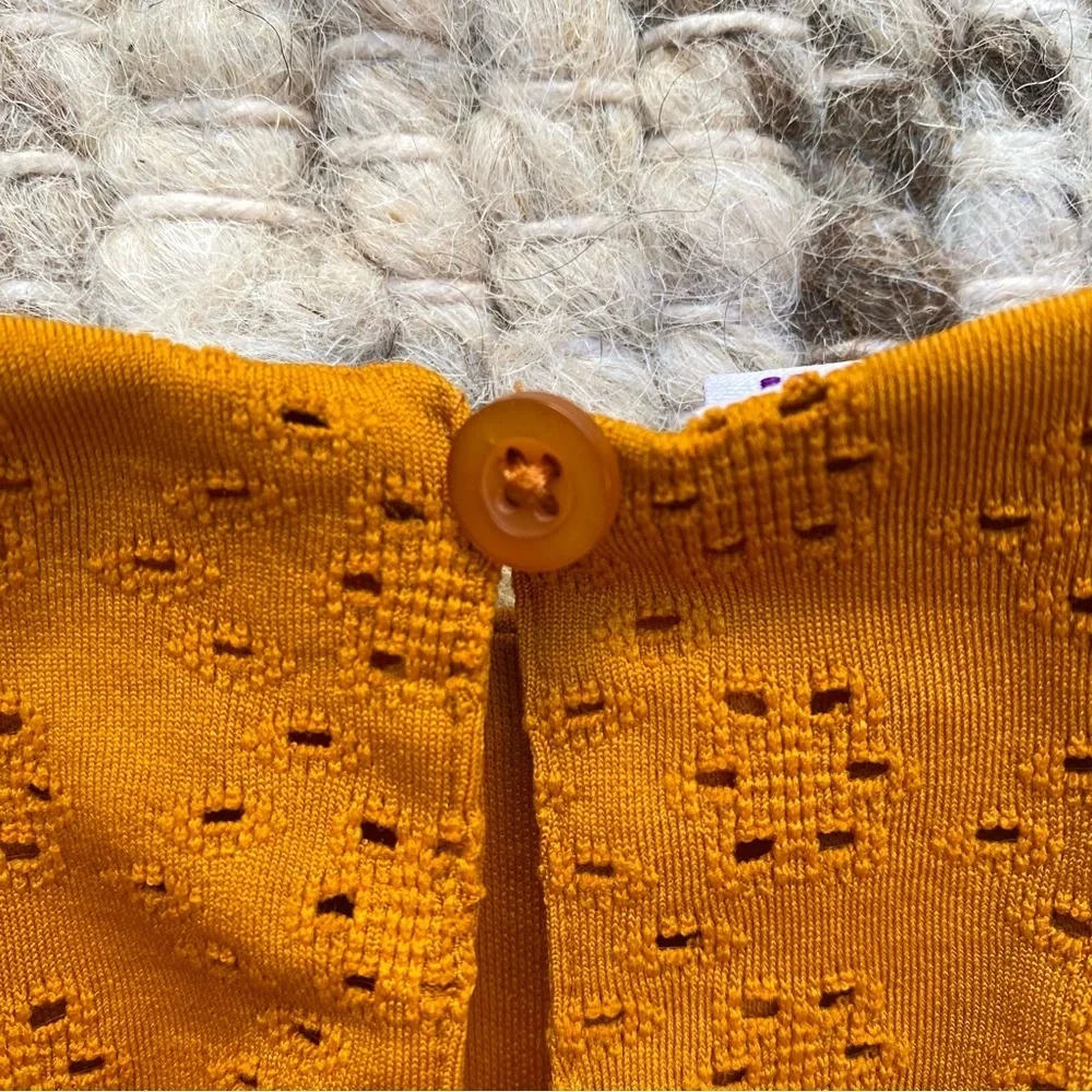 Blueberi Boulevard Eyelet Flutter Dress in Mustard, Size 12M